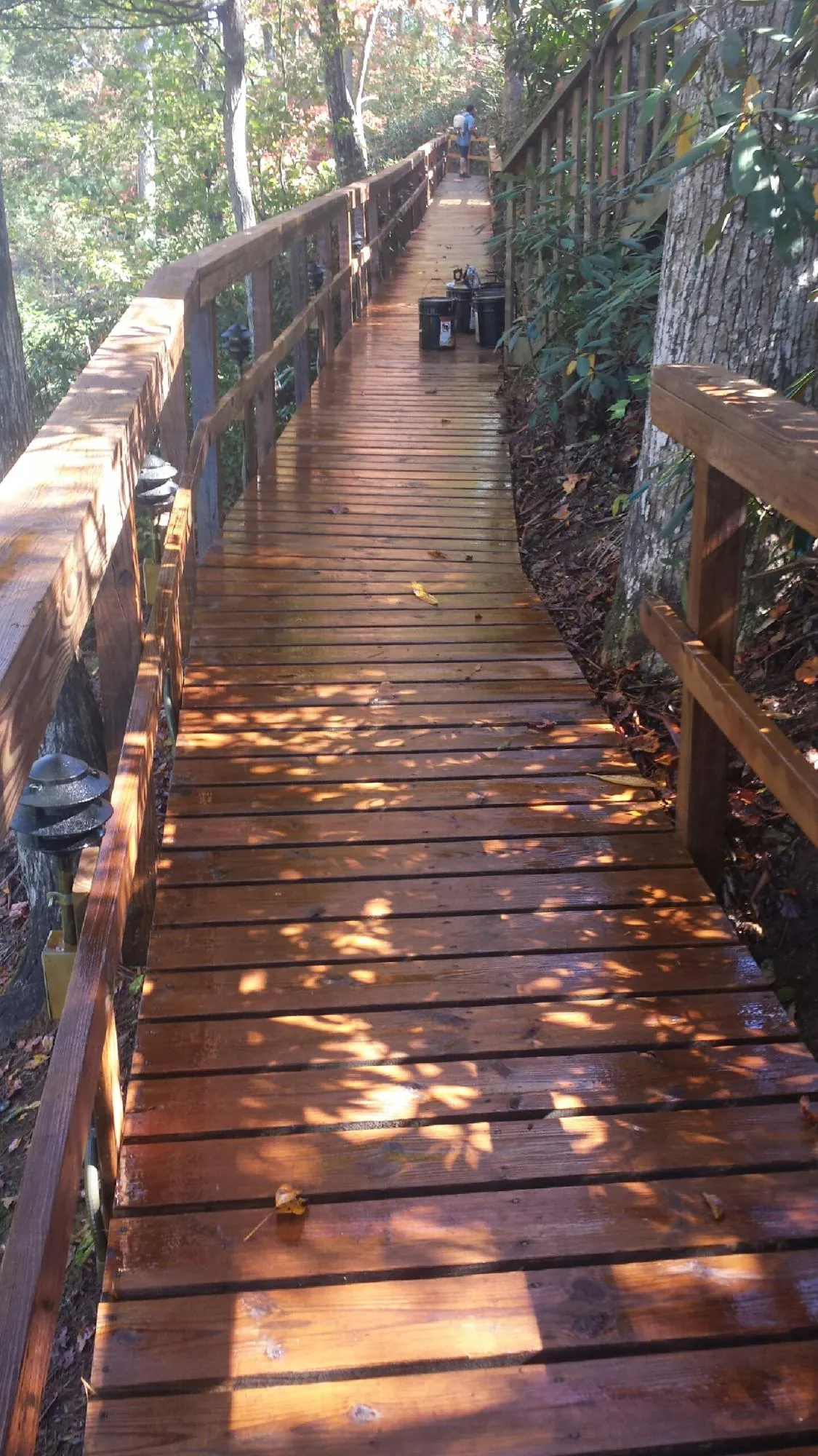 Freshly stained wood walkway winding through the woods in Byesville